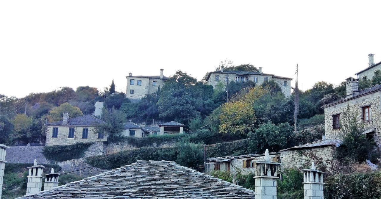 Archontiko Evridikis Hotel Vitsa Bagian luar foto