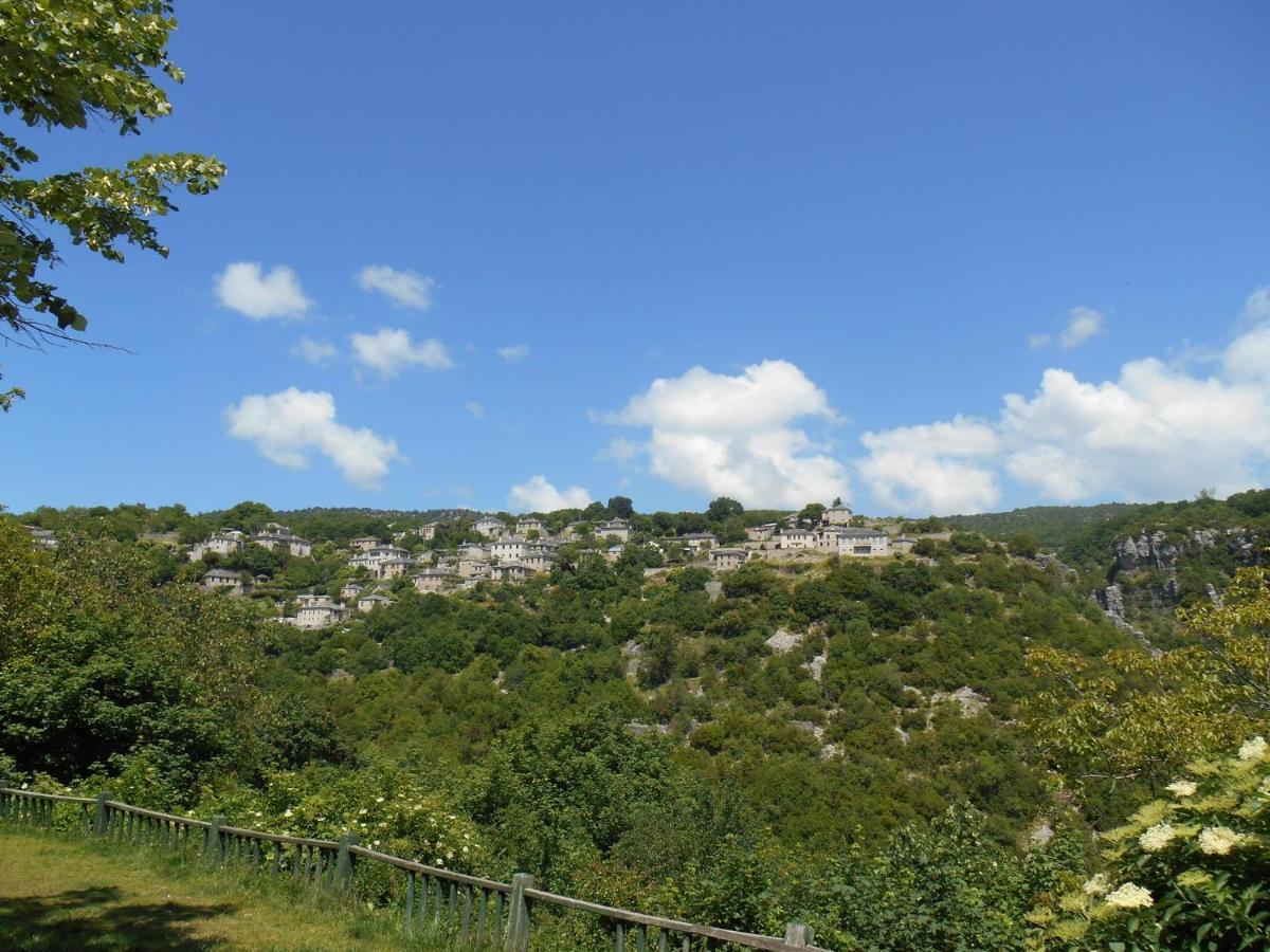 Archontiko Evridikis Hotel Vitsa Bagian luar foto